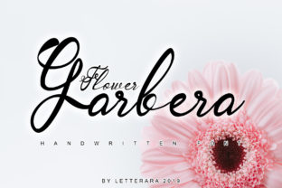 Garbera Family Font for Business Branding