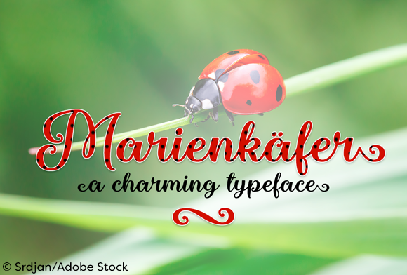 Marienkaefer: A Script Handwritten Font for Elegant Digital Branding