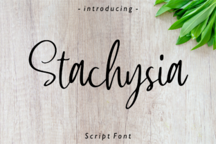 Stachysia: A Handwritten Font for Elegant Design