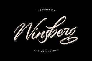 Winsberg Script Handwritten Font for Bold Digital Branding